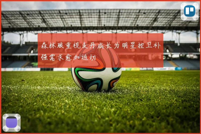 森林狼重视麦丹成长为明星控卫补强需求愈加迫切